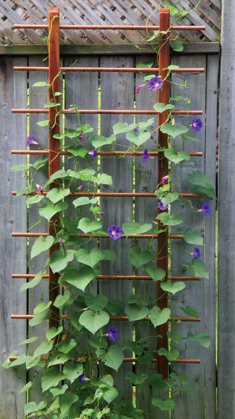 Diy Garden Trellis Ideas, Modern Trellis Design, Garden Trellis Ideas, Obelisk Trellis, Modern Trellis, Cozy Garden, Wood Trellis, Diy Garden Trellis, Trellis Ideas