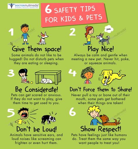 A question we often get is "Why does my pet listen to me but not my children?" Here are a few helpful steps for your children to follow! Medical Websites, Dog Car Safety, Rules For Kids, Therapy Dog, Dog Facts, Dog Safety, Dog Care Tips, Dogs And Kids, Dog Obedience