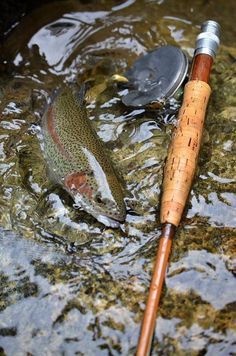 A rainbow on an 8' EF Payne with an vintage Hardy Perfect - how much better can it get? #BestFlyFishingTips  A rainbow on an 8' E Trout Fishing Tips, Bamboo Rods, Fishing Photos, Bamboo Fly Rod, Fishing Photography, Fly Fishing Tips, Fly Fishing Gear, Fishing Pictures, Brown Trout