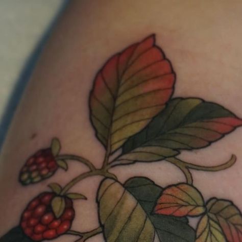 Melise Hill on Instagram: "Red raspberries added to Sarah's collection today. • • •

#tattoo #melisehilltattoo #blackclawneedle  #neotraditional #neotraditionaltattoo#lithuanianirons #mavericktattoomercantile #floraltattoo #botanicals #neonouveau #artnouveautattoo #aestheticladyhead #neoromantic #birdsofinstagram #illustrativetattoo #raspberrytattoo #fruittattoo" Today Tattoo, Neo Romantic, Art Nouveau Tattoo, Fruit Tattoo, Black Claws, Red Raspberry, Neo Traditional, Raspberry, Tattoos