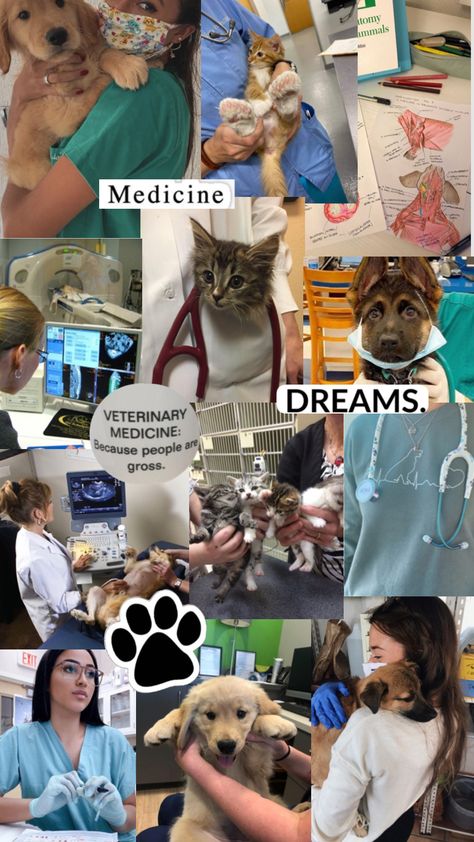 Vet Pictures, Vet School Motivation, Veterinarians Medicine, Vet Tech School, Vet Tech Student, Large Animal Vet, Veterinary Science, Wildlife Biologist, Vet Medicine