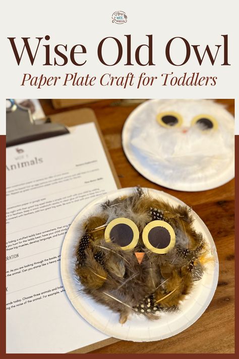 Paper Plate Owl Crafts For Preschoolers, Owl Babies Craft, Woodland Animal Art Preschool, Preschool Forest Animal Crafts, Owl Craft For Preschoolers, Owl Lesson Plans For Preschool, Preschool Owl Activities, Owl Activities For Toddlers, Preschool Owl Crafts