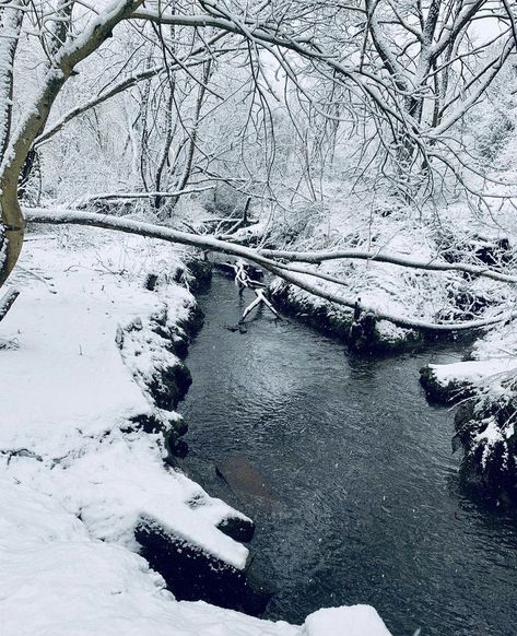 Magical Scenery, Fire Illustration, 2024 Books, Snowy River, Sun Shadow, Snow Forest, Cold Ice, Foggy Forest, Snowy Forest