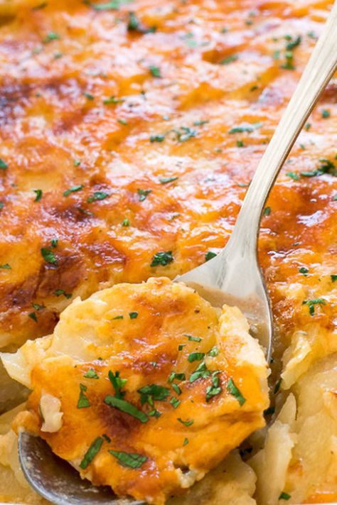 The BEST cheesy Scalloped Potatoes! This easy recipe is loaded with fresh garlic, thyme, cheddar cheese and an amazing cream sauce, layered with thinly sliced russet potatoes and then baked until golden brown. This is the perfect homemade side dish for Christmas this year! #scallopedpotatoes #potatoes #side #cheesy #christmas Best Scalloped Potatoes Recipe, The Best Scalloped Potatoes, Russet Potato Recipes, Homemade Scalloped Potatoes, Cheesy Scalloped Potatoes Recipe, Easy Scalloped Potatoes Recipe, Best Scalloped Potatoes, Scalloped Potatoes Recipe, Green Bean Casserole Easy