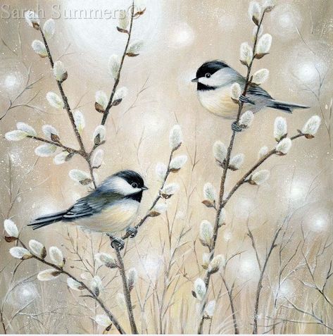 Spring Birds Painting, Watercolor Pussywillows, Pussywillow Painting, Winter Chickadee, Chickadee Painting, Chickadee Art, Chickadees, Art Et Illustration, Bird Pictures