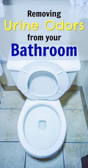 Boy Bathroom Smell, Remove Urine Smell, Toilet Odor, Deep Clean Bathroom, Pee Smell, Bathroom Odor, Enzyme Cleaner, Urine Odor, Urine Smells