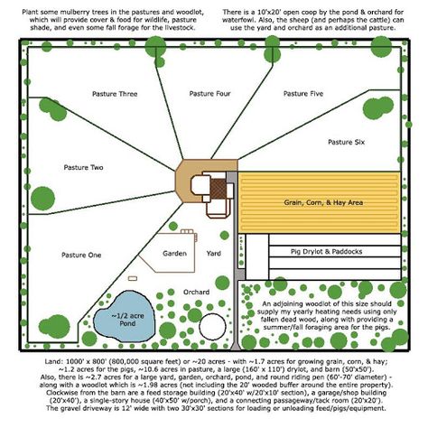 Homestead Plans, Homestead Layout, Raising Pigs, Backyard Farm, Farm Plans, Homestead Farm, Farm Layout, Future Farms, Barn Plans