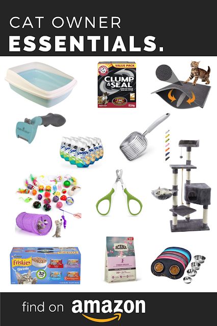 Cat Owner Must Haves, Must Have Cat Items, First Time Cat Owner Checklist, Best Cat Products, Kitten Must Haves, Amazon Cat Must Haves, New Cat Checklist, Kitten Items, Cat Owner Hacks