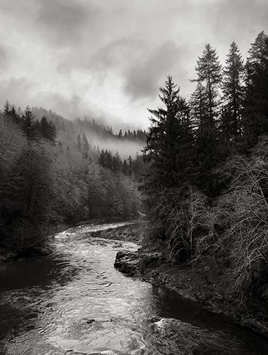 Black And White Rain Photography, Bad Weather Photography, Black And White Nature Photography, Landscape Studies, Coastal Oregon, Black And White Landscape Photography, Landscape Black And White, Aesthetic Apps, Weather Photography