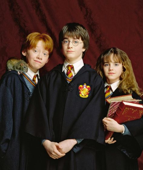 Trio | Harry Potter Wiki | Fandom Weasley Wizard Wheezes, Hogwarts Uniform, Harry Potter Wiki, Weasley Family, Harry And Hermione, Ronald Weasley, Three Best Friends, Images Harry Potter, The Sorcerer's Stone