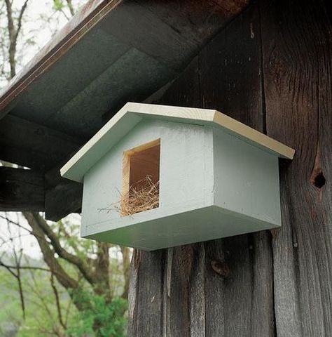 Mourning Dove birdhouse Dove Bird House Plans, Dove Bird House, Dove Nest, Dove House, Birdhouse Projects, Birdhouses Bird Feeders, Garden Birdhouses, Bird House Feeder, Bird House Plans