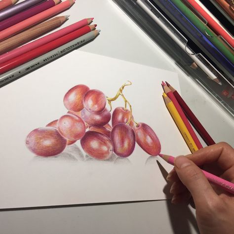 Colored pencil grapes drawing original art still life | Etsy Drawing Of Grapes, Grape Drawing, Drawing Fruit, Color Uva, Pencil Drawing Ideas, Grape Painting, Pencil Drawing Tutorials, Fruits Drawing, Drawing Color