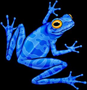 Blue poison dart frog tattoo that I want. Poison Dart Frog Art, Poison Frog Tattoo, Poison Dart Frog Tattoo, Dart Frog Tattoo, Blue Poison Dart Frog, Frog Rock, Poison Frog, Poison Dart Frog, Blue Frog