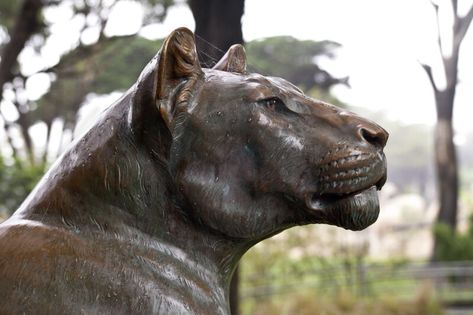 Bronze Lioness Statue | ClipPix ETC: Educational Photos for Students and Teachers Lion Anatomy, Inspirational Sculpture, Jellicle Cats, Panther Sculpture, Lion Artwork, Panther Art, Lions Photos, Horse Anatomy, Lion Painting