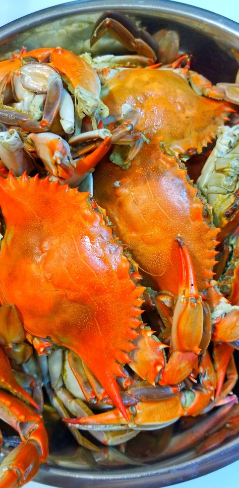 Boiled crabs Crab Boil Aesthetic, Crabs Recipes, Boiled Crab, Crab And Shrimp Recipe, Crab Appetizer, Crab Meat Recipes, Crab Boil, Africa Food, Crab Dip