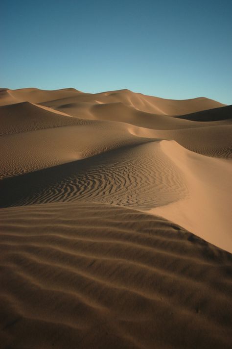 Sand Dunes - Where to Film in Yuma - Yuma Film Commission - Assistance for Anyone Filming in Yuma, Arizona Desert Dunes Photography, Brazil Sand Dunes, Great Sand Dunes National Park Photography, Glamis Sand Dunes Camping, Yuma Arizona, Imperial Sand Dunes California, Arizona Adventure, Scenic Travel, Family Vacay