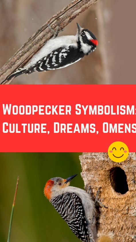 Woodpecker Symbolism: Culture, Dreams, Omens (Full Guide) Woodpecker Symbolism, Woodpecker Tools, Woodpecker Spirit Animal, If Only If Only The Woodpecker Sighs, Birthday Personality, Pilated Woodpecker, Zodiac Birthdays, Real Life