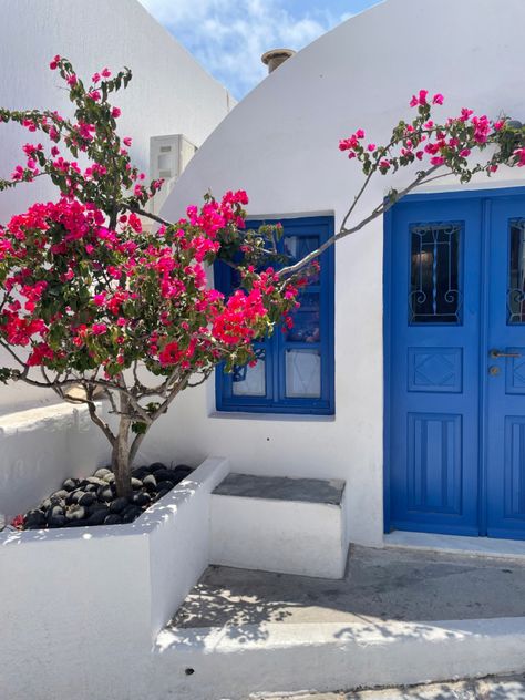 Greek Inspired Garden, Po Teletubbies, Greek Cafe, Greek Aesthetic, Greek Garden, Greek Flowers, Gorgeous Doors, Greek House, Mediterranean Garden