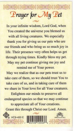 Prayer for My Pet -1 | Found this in a local Catholic bookst… | Flickr Dog Poems, Pet 1, Lord God, San Francesco, Prayer Board, Prayer Warrior, My Pet, Catholic Prayers, God Prayer