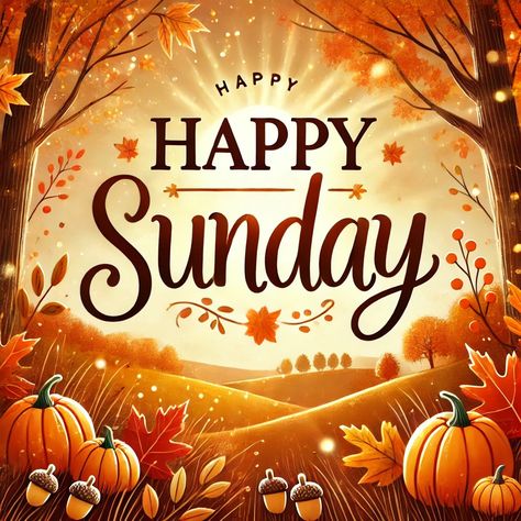 Happy Sunday! 🍁🧹 Enjoy a clean, cozy home with JP Carpet Cleaning Expert Floor Care. Call (818) 263-9314 or visit jpcarpetandfloorcare.com. #HappySunday #CleanHomeCozyHome #AutumnVibes #FloorCleaning #JPExpertCare #FallFeels Clean Cozy Home, Valentine Chalkboard Art, Sunday Fall, Fall Sunday, Day And Night Quotes, Autumn Images, Holiday Cleaning, Mary Kay Marketing, Deep Cleaning Hacks