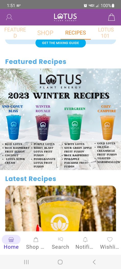 Fall Red Bull Drinks, November Lotus Drinks, Holiday Lotus Drinks, How To Make A Lotus Energy Drink, Christmas Lotus Drinks, Lotus Energy Recipes, Winter Lotus Drinks, Fall Lotus Drinks, Lotus Recipes Drink