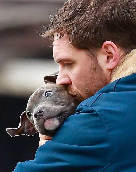 Tom Hardy The Drop, Tom Hardy Pictures, Tom Hardy Dog, Tom Hardy Variations, Tom Hardy Photos, Sir Anthony Hopkins, Noomi Rapace, Avan Jogia, Ryan Guzman