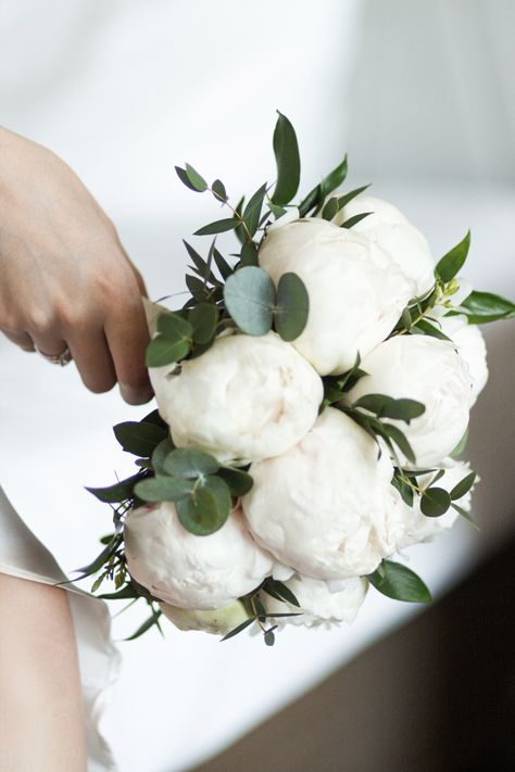 Peonies Bride Bouquet, Cream Peony Bouquet, Brides Flowers, Peony Bridal Bouquet, Bridal Bouquet White, Brides Flowers Bouquet, White Peonies Bouquet, Small Bridal Bouquets, Gypsophila Wedding