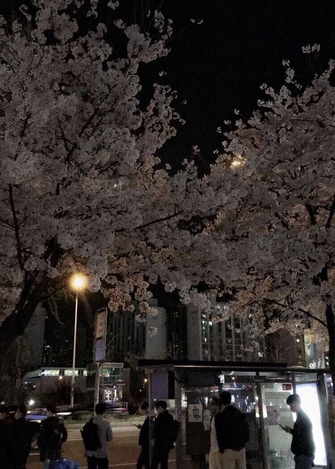 Dark Paradise, Japan Aesthetic, Aesthetic Japan, City Vibe, Night Vibes, Korean Aesthetic, Foto Ideas Instagram, Night City, Night Aesthetic