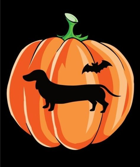 Dachshund Pumpkin Carving, Dachshund Pumpkin, Pumpkin Carving Pattern, Arte Dachshund, Pumpkin Carving Patterns, Pumpkin Carving Templates, Halloween Pumpkins Carvings, Pumpkin Ideas, Pumpkin Painting