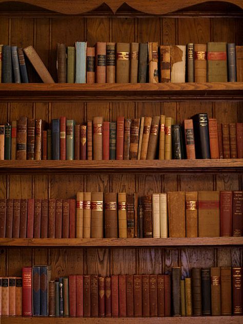 Library Inspiration, Vintage Bookcase, Beautiful Library, Books Vintage, Tea And Books, Well Read, Book Wall, Book Wallpaper, Iphone Background Images