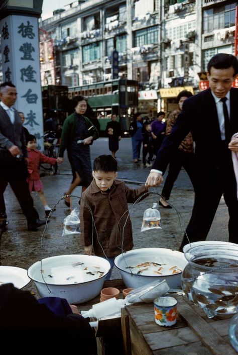 History Of Hong Kong, Old Hong Kong, British Hong Kong, Old Shanghai, China Hong Kong, Wing Chun, Hiroshima, Street Photo, Chinese Culture