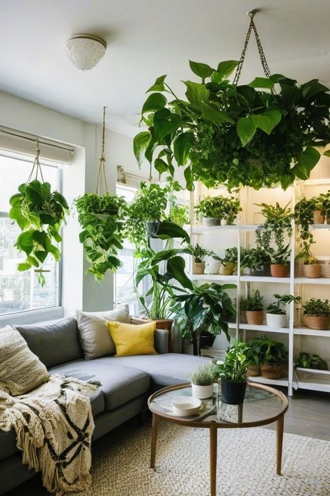 10 Best Indoor Flowering Plants For Low Light Indoor Garden Room Ideas, Green Room With Plants, Indoor Plants Decor Living Room Ideas, Plant Living Room Aesthetic, Plant Apartment Aesthetic, Plant Aesthetic House, Indoor Plant Aesthetic, Indoor Plant Room, Plant Room Ideas