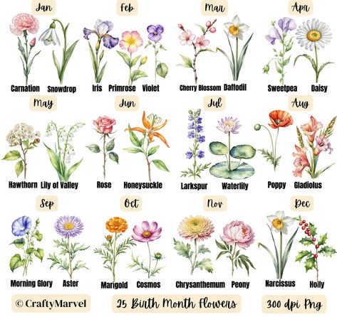 August Month Flower, Birth Month Flower Watercolor, Month Birth Flowers, Birthday Flowers By Month, Birth Tattoos, Flower List, March Flowers, Birthday Month Flowers, Scrapbook Letters