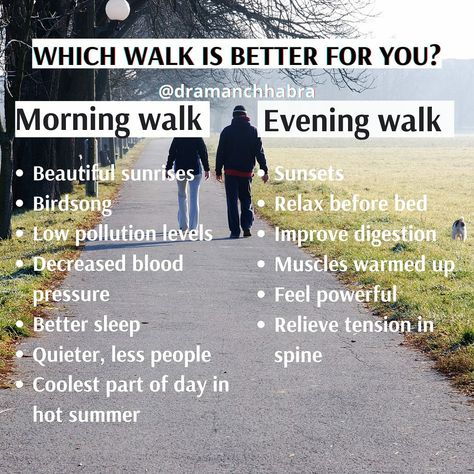 Walk For Life, Walking Quotes, Walking For Health, Walking Plan, Benefits Of Walking, Health Planner, Walking Exercise, Evening Walk, Holistic Lifestyle