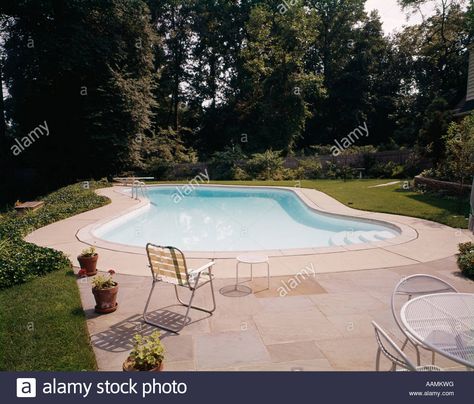 Download this stock image: 1960s BACKYARD SWIMMING POOL AREA WITH PATIO OUTDOOR KIDNEY SHAPE 1970s - AAMKWG from Alamy's library of millions of high resolution stock photos, illustrations and vectors. Swimming Pool Area, Backyard Swimming Pool, Beech Hedge, Backyard Pool Parties, Japanese Lanterns, Backyard Pools, The Suburbs, Find Friends, Swimming Pools Backyard