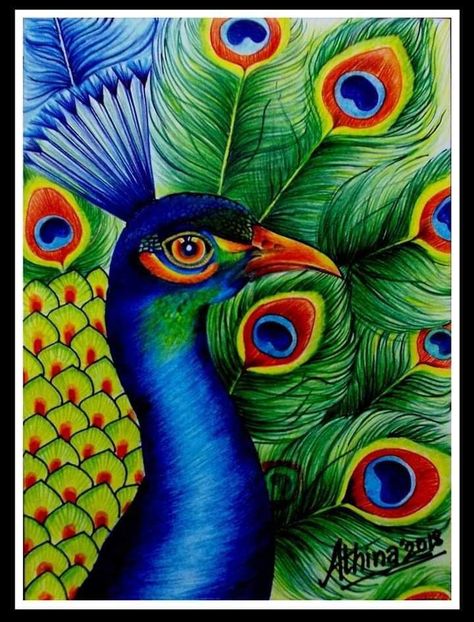 Pin by Regina on Arte animal in 2022 | Flower art drawing, Art painting gallery, Peacock drawing Painting Ideas Peacock, Line Art Lesson, How To Make Canvas, Nature Canvas Painting, Peacock Drawing, Canvas Painting For Beginners, Interesting Drawings, Painting Materials, Peacock Wall Art