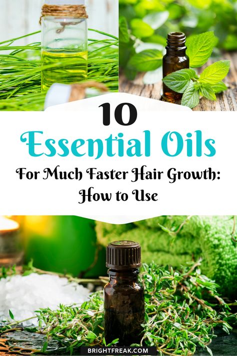 10 Essential Oils for Much Faster Hair Growth: How to Use. Essential Oils For Hair Growth, Oils For Hair Growth, Essential Oil Hair Growth, Oils For Hair, Faster Hair Growth, Hair Growth Foods, Essential Oil Skin Care, Hair Growth Spray, Natural Hair Diy