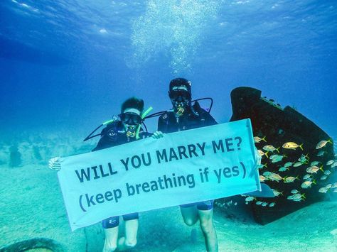 Cute marriage proposal | Proposal under water | Unique marriage proposal | Photographer: unknown | Source: gabesimas | #proposal #willyoumarryme #couplegoals #couplephotography #underwater #propose #shesaidyes #cutecouples #inlove #loveher #romance #marriageproposals #gettingmarried #wittyvows #marry Proposal Restaurant, Propose Day Images, Proposal Planning, Propose Day, Marriage Proposal, Under Water, Marriage Proposals, Gay Love, Marry Me