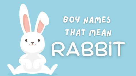 This list of boy names that mean rabbit is filled with a delightful selection. Some names literally mean “rabbit,” while others give nod to some sort of rabbit-related meaning. Explore the options — complete with meaning and explanation — and find the perfect name for your son. #boynames #babynames L Baby Boy Names, Boy Middle Names, Boy Name Meanings, Young Rabbit, Names For Boys List, Rabbit Breeds, Bunny Names, Benjamin Bunny, Gender Neutral Names