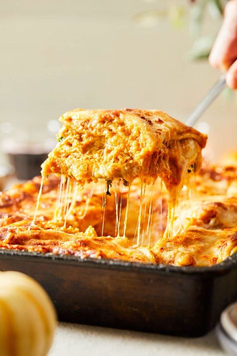 DeLallo Recipes- Classic Italian, Weeknight Recipes & More | DeLallo Delallo Recipes, Spinach Manicotti, Pumpkin Lasagna, Basil Pasta Sauce, Squash Lasagna, Veggie Lasagna, Weeknight Recipes, Pumpkin Pasta, Vegetable Lasagna