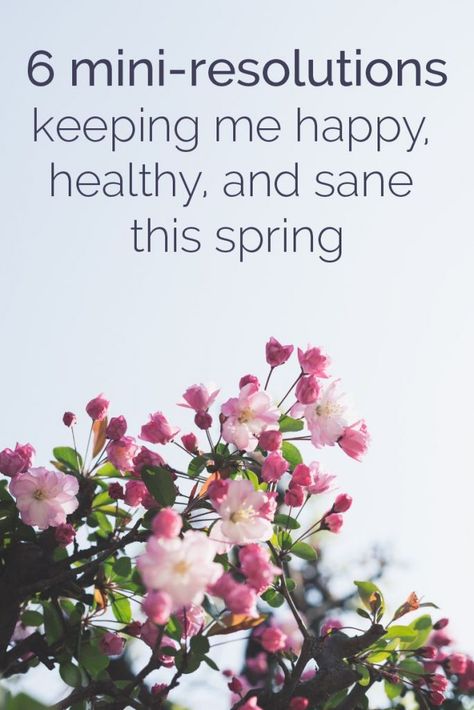 6 mini-resolutions keeping me healthy and happy and sane this spring Spring Habits, Goals Planning, Happy Habits, Happiness Habits, Creative Life Hacks, Conscious Mind, Helpful Things, Productive Habits, Habits Of Successful People