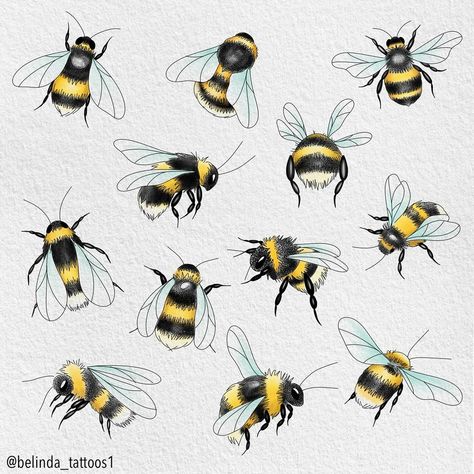 Cute little bumblebees available to tattoo. I love tattooing bumblebees 🐝 These are £50 each and repeatable. . . . #bumblebees #bumblebeetattoo #bumblebeeflash #beetattoo #beetattooideas #cutetattooideas #naturelovers #naturetattoo #westbyfleet #woking #inked #finelinetattoos #inkedwomen #tattooartist #tattooist #tattooing #femaletattooartist Bee Drawings, Amazing 3d Tattoos, Bumble Bee Tattoo, Bee Drawing, Circle Tattoos, Insect Tattoo, Bee Painting, Bee Illustration, Wicked Tattoos