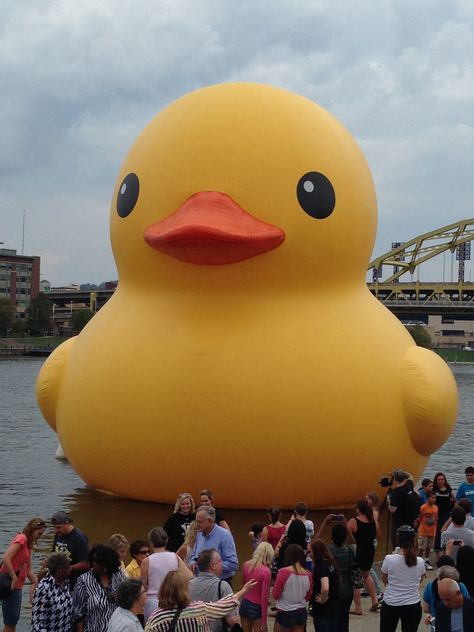 Giant rubber duck in Pittsburgh :) Giant Rubber Duck, Duck Party, Steelers Country, Pittsburgh Pride, Duck Hunt, Duck Wallpaper, My Hood, Mystery Stories, Rubber Ducks