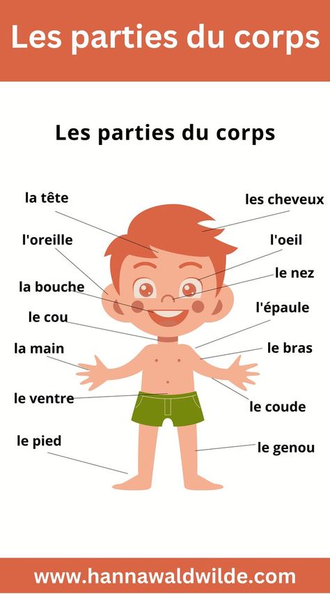 My homepage offers enjoyable French vocabulary exercises that can be utilized for practicing or revising words through the fun activity of solving puzzles. French Body Parts, French Language Learning Kids, Body Parts For Kids, French Practice, Preschool Activities Printable, Vocabulary Exercises, Parties Du Corps, Learning Materials, French Vocabulary