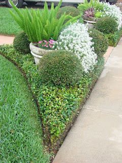 Earth Shattering Gardening: Creating A Florida Cottage Garden Front Lawn Landscaping, Florida Cottage, Florida Landscaping, Herb Garden Design, Cottage Garden Design, North Florida, Professional Landscaping, Garden Entrance, Garden Makeover