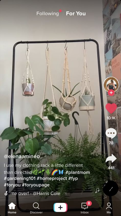 Alter Ideas, Tiny Garden, Greenhouse Ideas, Apartment Organization, Gardening 101, Hanging Racks, Plant Mom, Renter Friendly, Aesthetic Room Decor