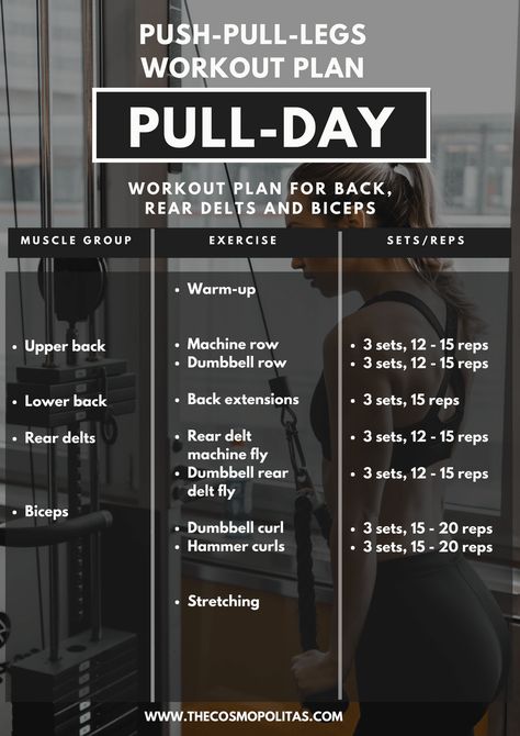 Push And Pull Workouts Gym, Push And Pull Exercises, Pull Day Workout At Home No Equipment, Pull Exercises Gym Women, 3 Day Push Pull Workout Routine, Pull Day Workout Dumbbell At Home, Push Pull Workout Routine Dumbbells, Pull Push Workout Plan, Pull Workout Women Gym