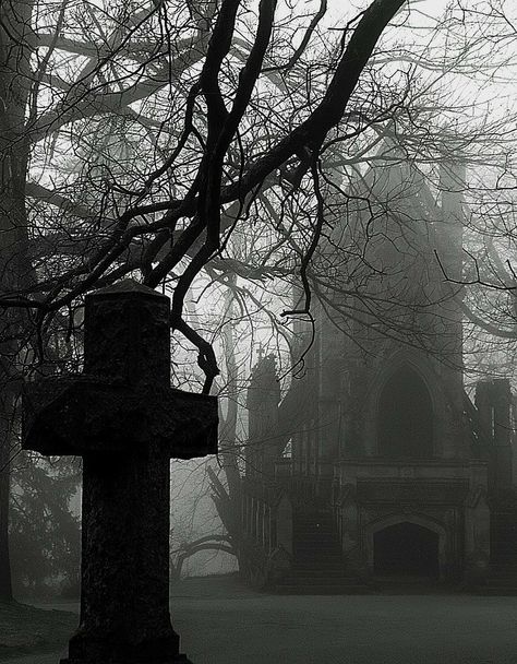 Eco Goth, Cemeteries Photography, Gothic Novel, Gothic Castle, Morning Fog, Old Cemeteries, Foggy Forest, Romantic Goth, Dark Romantic