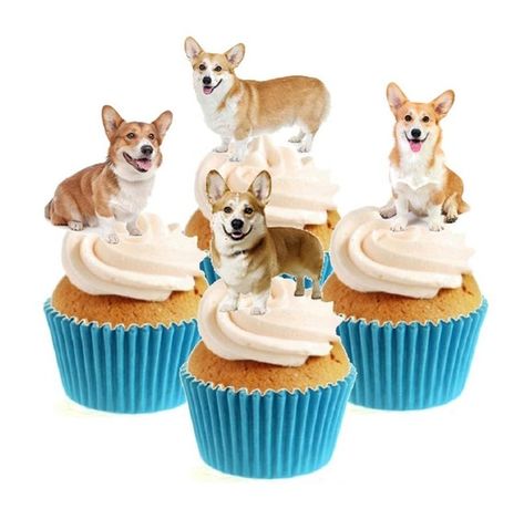 Corgi Cupcakes, Cobblestone Wedding, Corgi Party, Dog Merch, Iced Cupcakes, Corgi Birthday, Conversation Images, Pug Party, Corgi Stuff