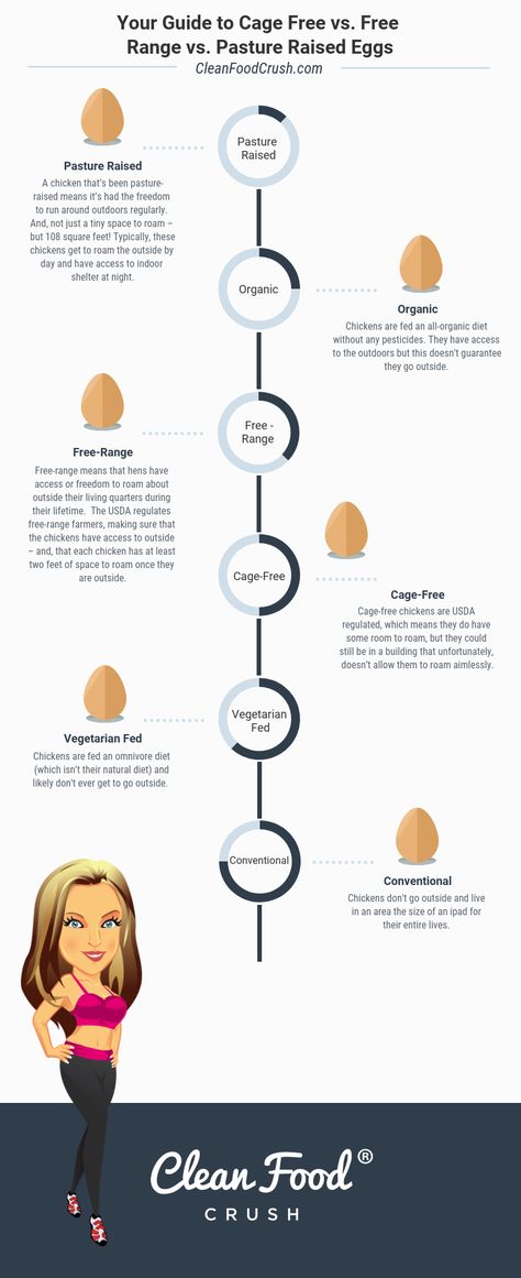 A Guide to Cage Free Vs. Free-Range Vs. Pasture Raised Eggs | Clean Food Crush Egg Farming, Meal Prep Grocery List, Egg Facts, Dream Homestead, Eco Food, Ranch Living, Free Range Chicken, Pasture Raised Eggs, Cage Free Eggs